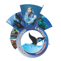 Calypso